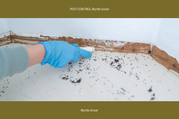 PEST CONTROL Myrtle Grove